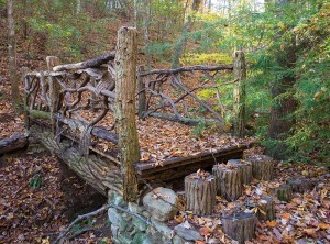 Log bridge within cabin landscape
